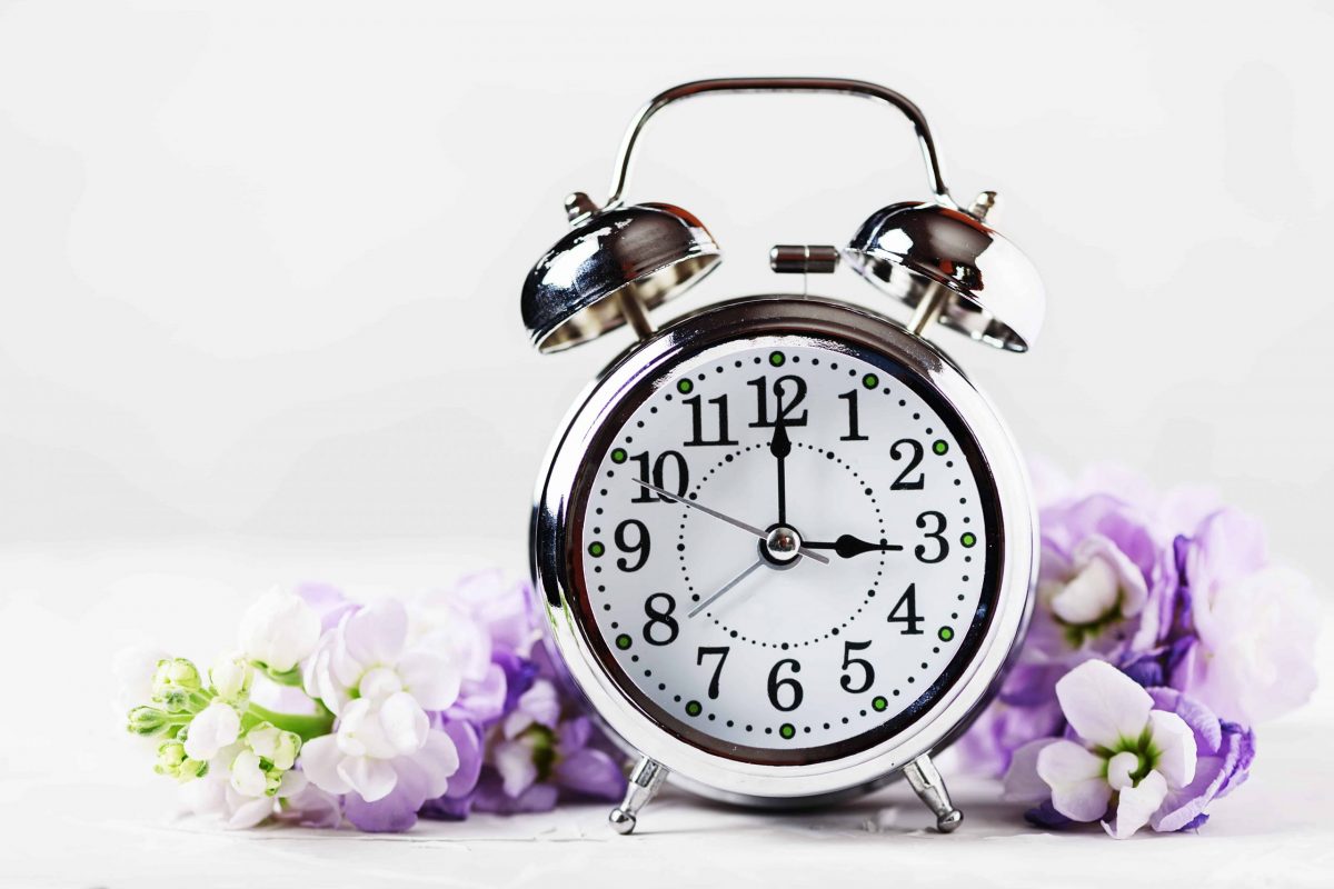 Archer FL New Farm Store Hours